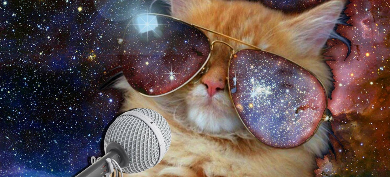 l'image montre un chat avec des lunettes de soleil et un micro, sur fond spacial